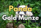 Die China Panda 2024 Münzserie: Eine sichere und attraktive Anlageoption