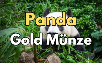 Panda Gold China