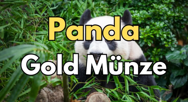 Panda Gold China